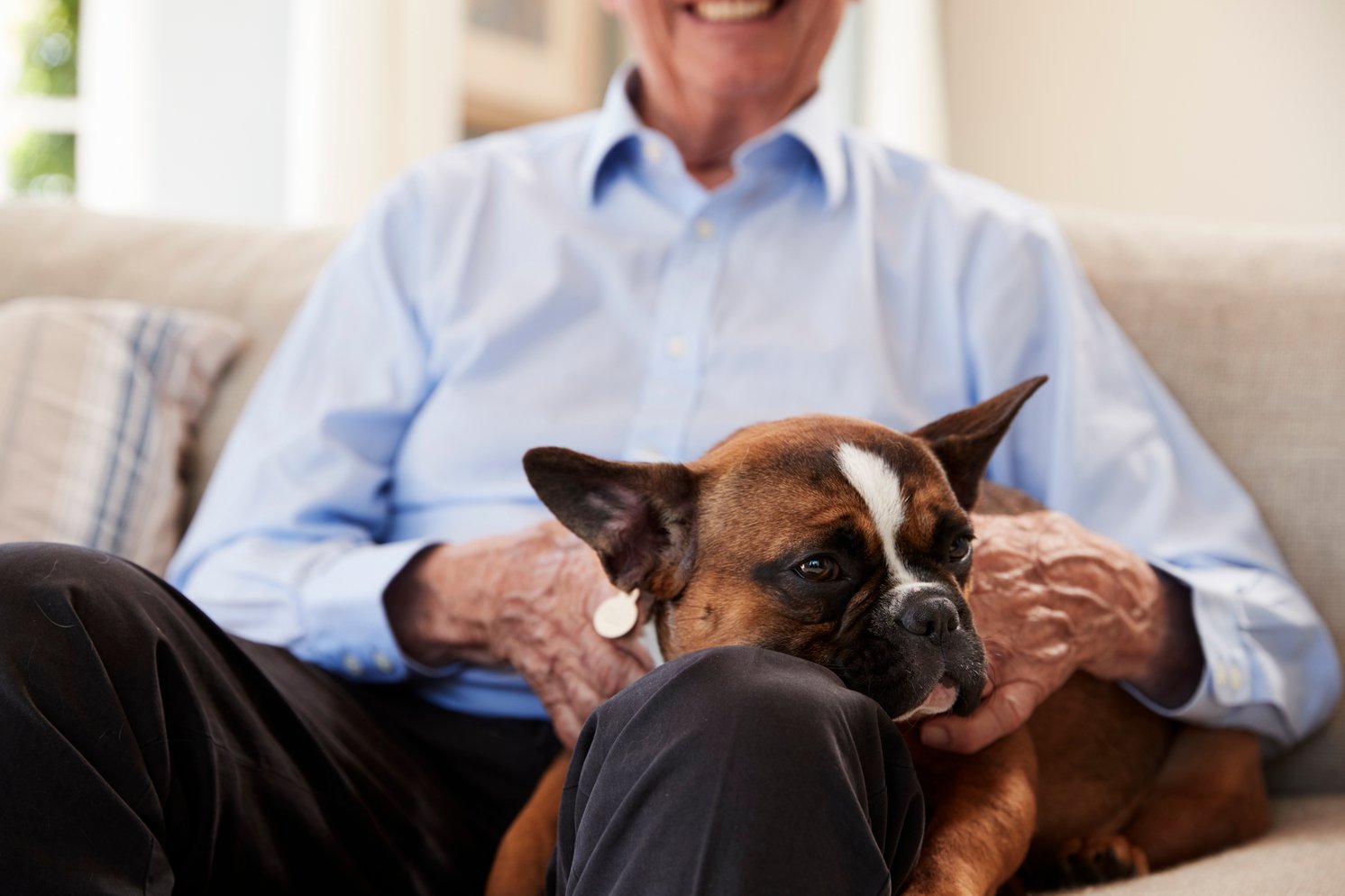 Animal Therapy for Seniors_Fieldstone